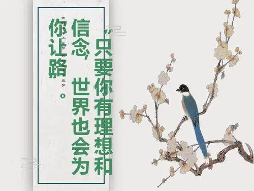 我的未来不是梦ppt