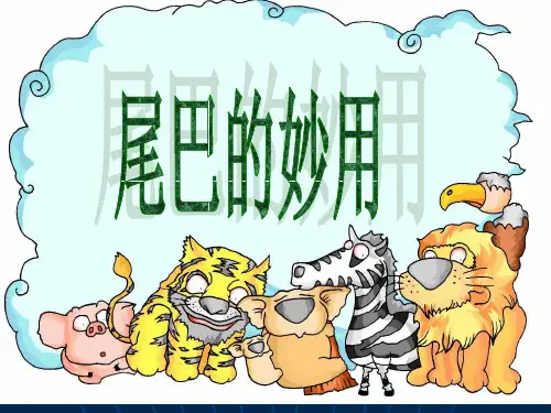 尾巴的妙用ppt课件