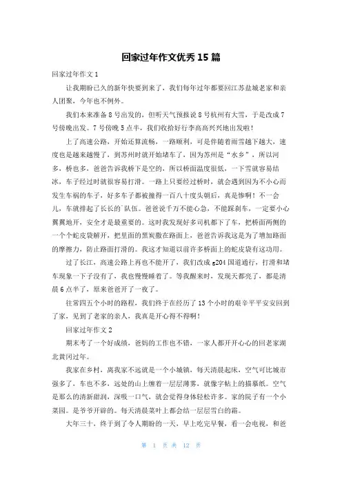 回家过年作文优秀15篇
