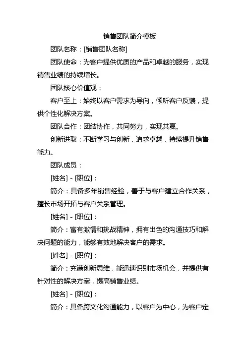 销售团队简介模板
