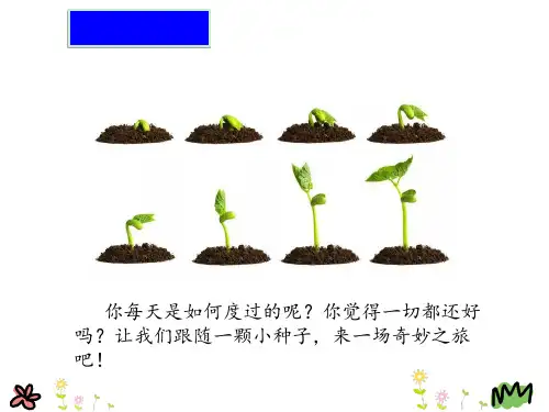 那一定会很好完美版PPT课件.ppt