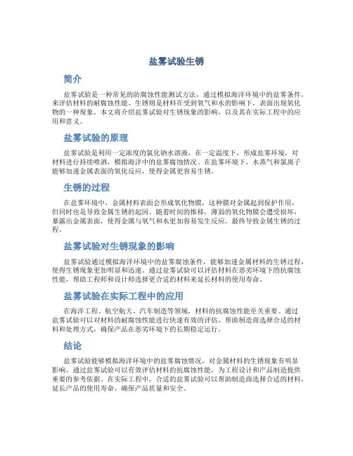盐雾试验生锈