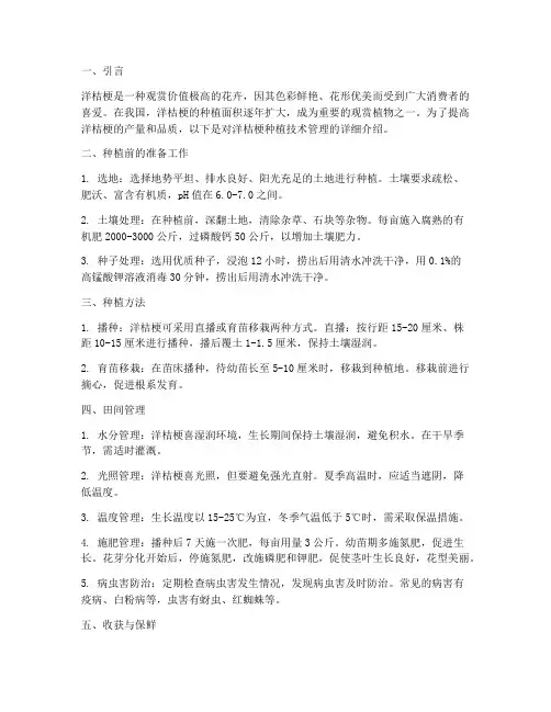 洋桔梗种植技术管理