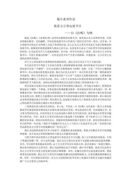 我看方言电视节目