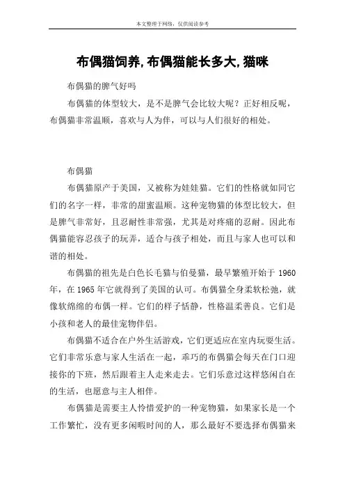 布偶猫饲养,布偶猫能长多大,猫咪