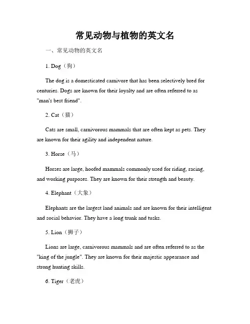 常见动物与植物的英文名