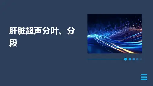 肝脏超声分叶、分段