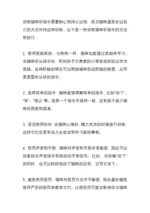如何训练猫猫听指令？