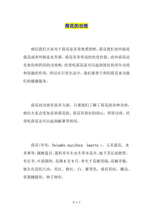 荷花的功效