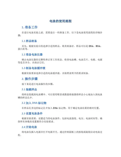 电泳的使用流程