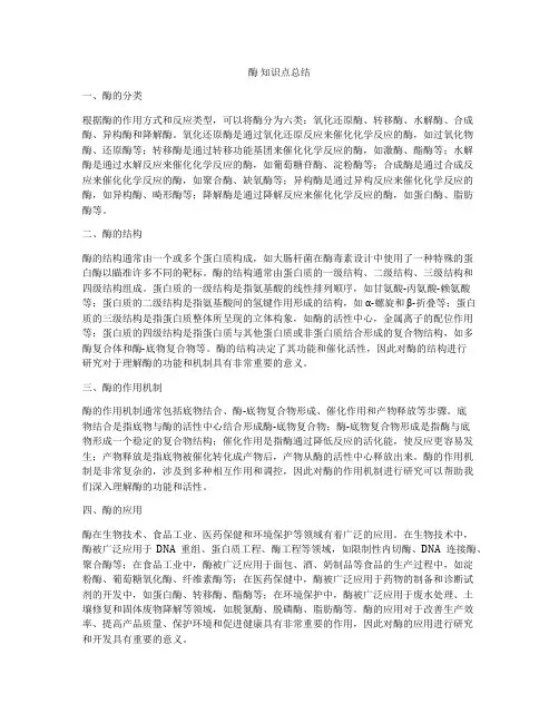 酶 知识点总结