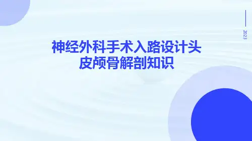 神经外科手术入路设计头皮颅骨解剖知识