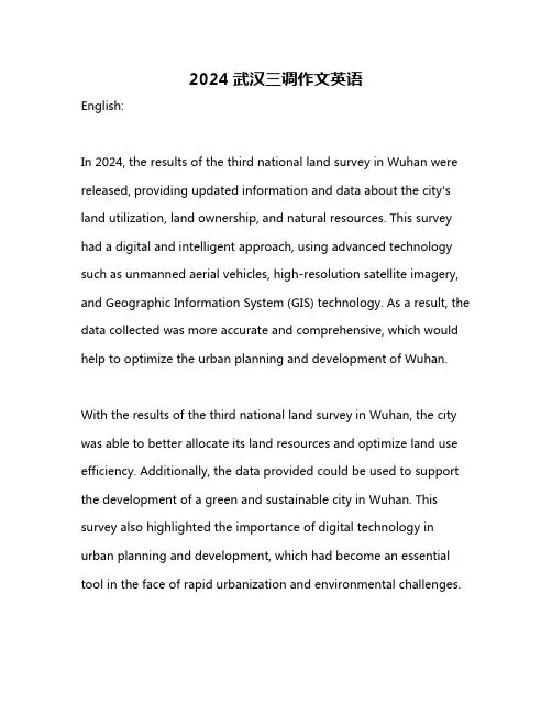 2024武汉三调作文英语