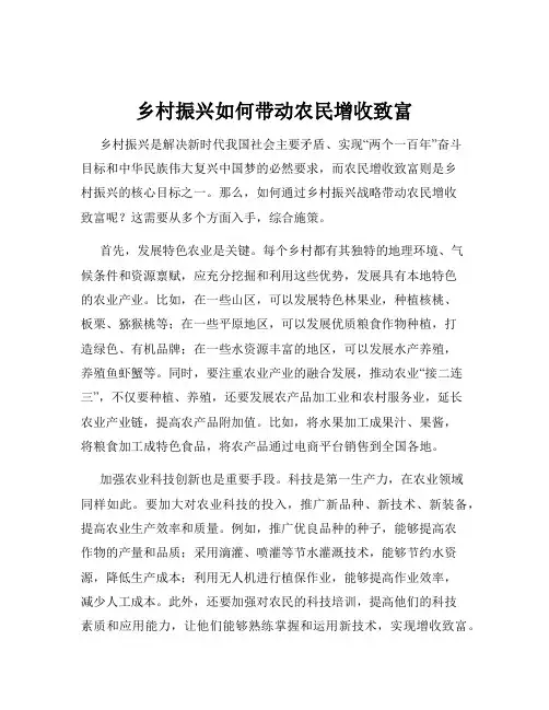 乡村振兴如何带动农民增收致富