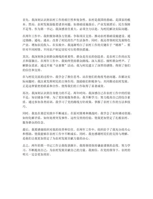 第一书记两年工作感想
