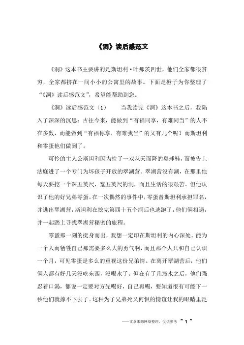 《洞》读后感范文
