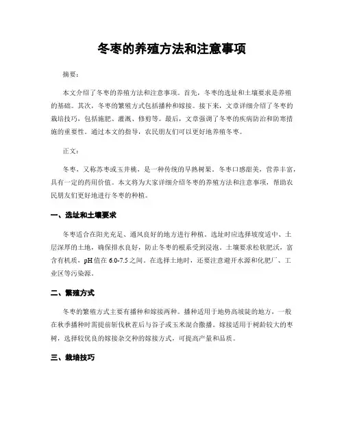 冬枣的养殖方法和注意事项