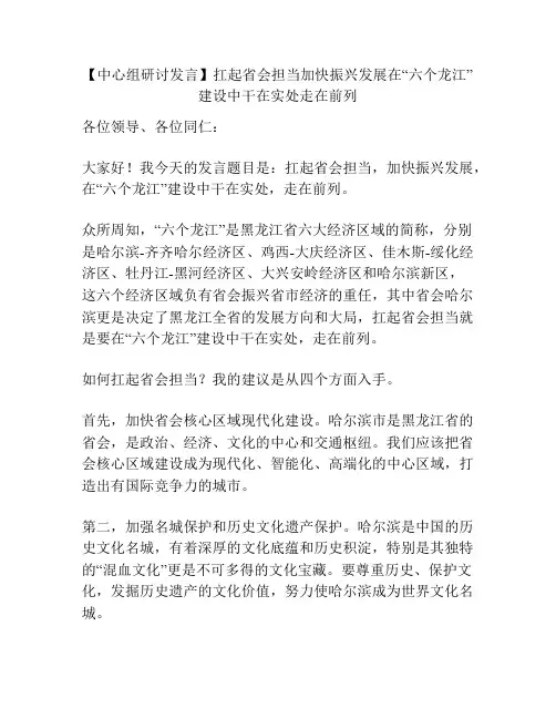 【中心组研讨发言】扛起省会担当加快振兴发展在“六个龙江”建设中干在实处走在前列