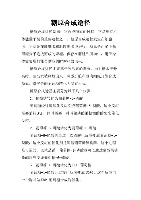 糖原合成途径