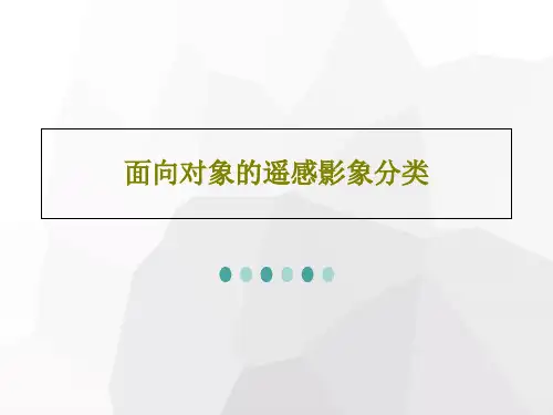 面向对象的遥感影象分类49页PPT