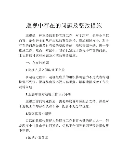 巡视中存在的问题及整改措施
