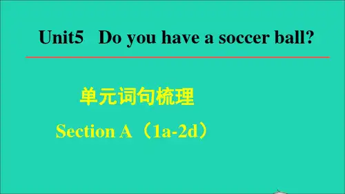 英语上册Unit5Doyouhaveasoccerball词句梳理SectionA(1a2d)课件(