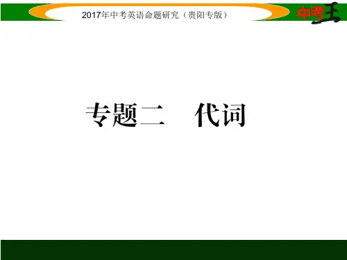 2017届中考英语语法专题：代词(课件和练习)(2)精选教学PPT