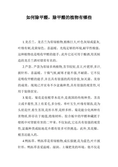 如何除甲醛,除甲醛的植物有哪些