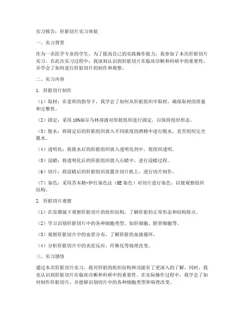 肝脏切片实习报告