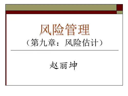 风险管理(第九章：风险估计)
