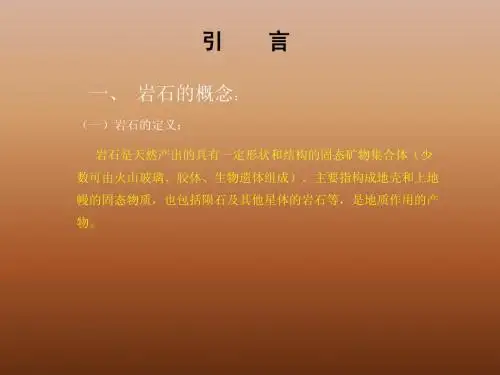 第一章 序言