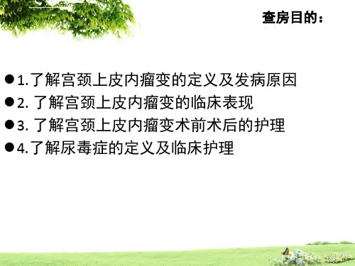 宫颈CIN护理查房ppt课件