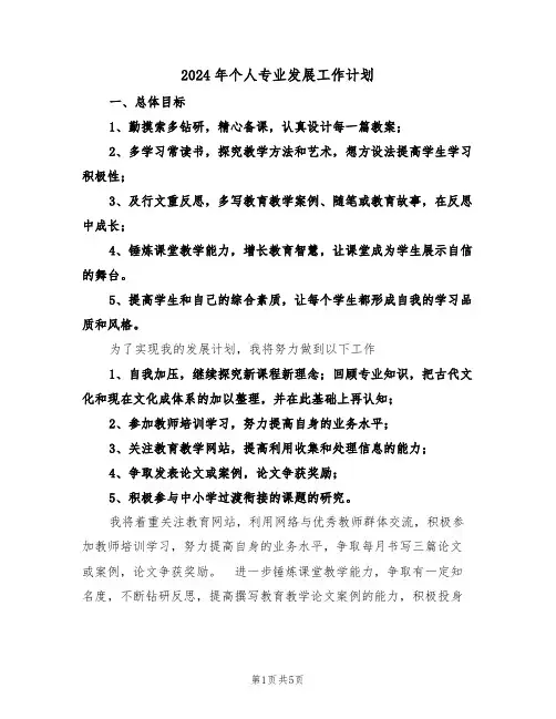 2024年个人专业发展工作计划(二篇)