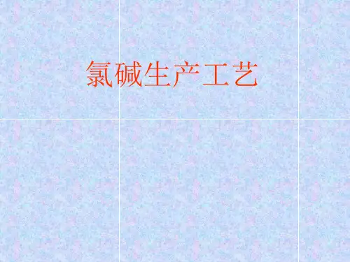 氯碱生产工艺.pptx