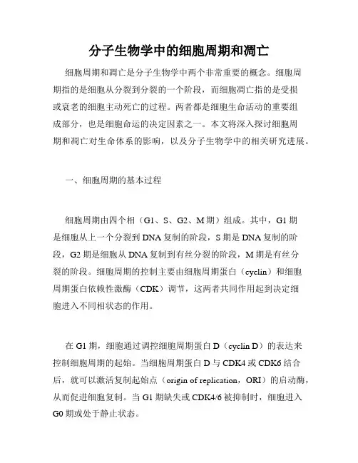 分子生物学中的细胞周期和凋亡