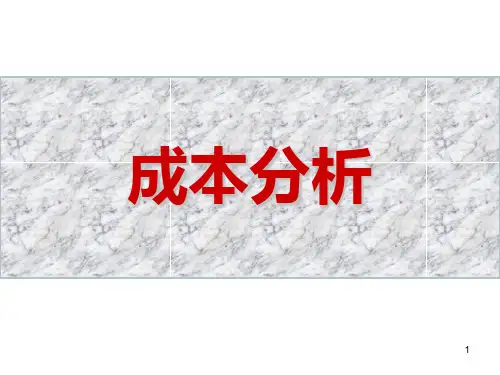 项目成本分析PPT课件