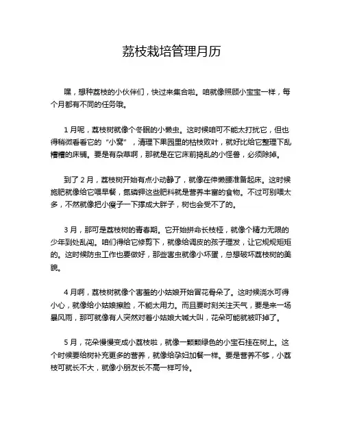 荔枝栽培管理月历