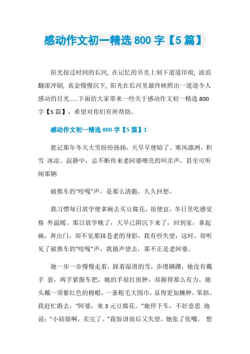 感动作文初一精选800字【5篇】