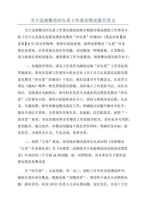 关于巡视整改回头看工作落实情况报告范文