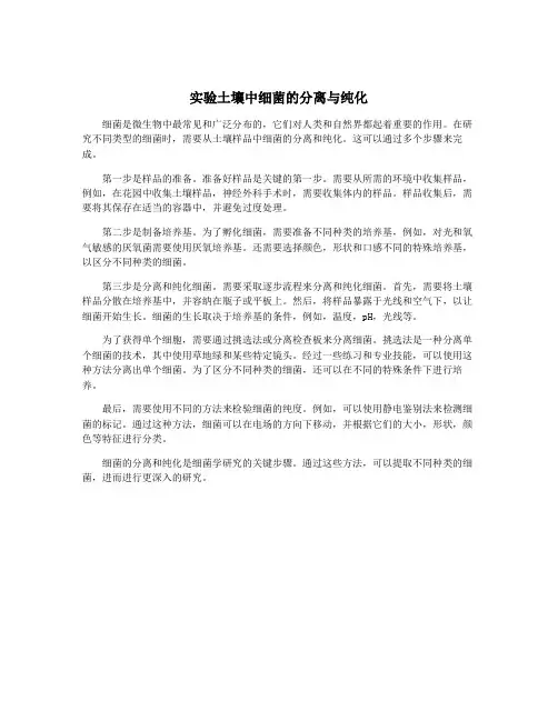 实验土壤中细菌的分离与纯化