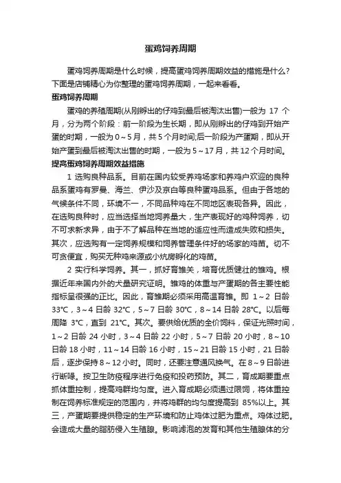 蛋鸡饲养周期
