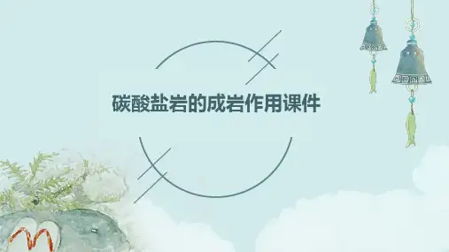 碳酸盐岩的成岩作用课件