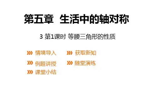 北师大版七年级数学下册第1课时等腰三角形的性质课件