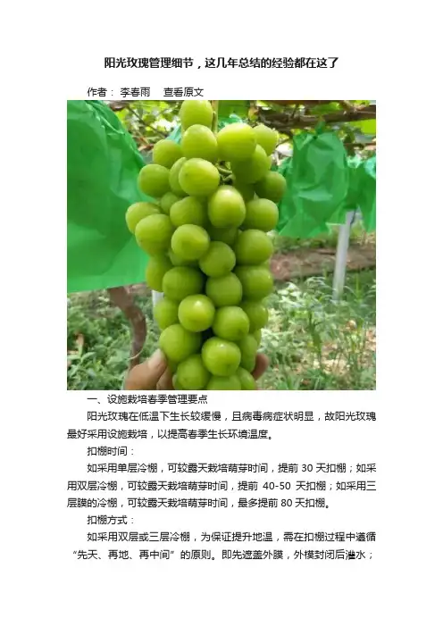 阳光玫瑰管理细节，这几年总结的经验都在这了