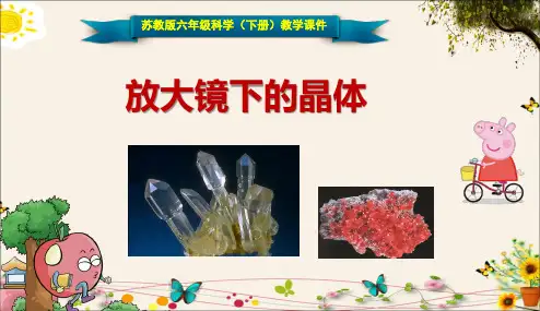 《放大镜下的晶体》苏教版六年级科学(下册)教学课件