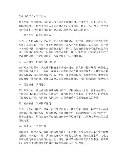 配电运检工个人工作总结