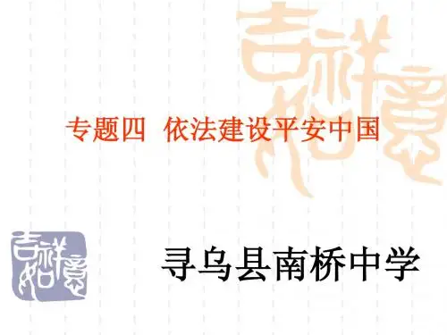 2015中考时政热点专题    专题四  依法建设平安中国
