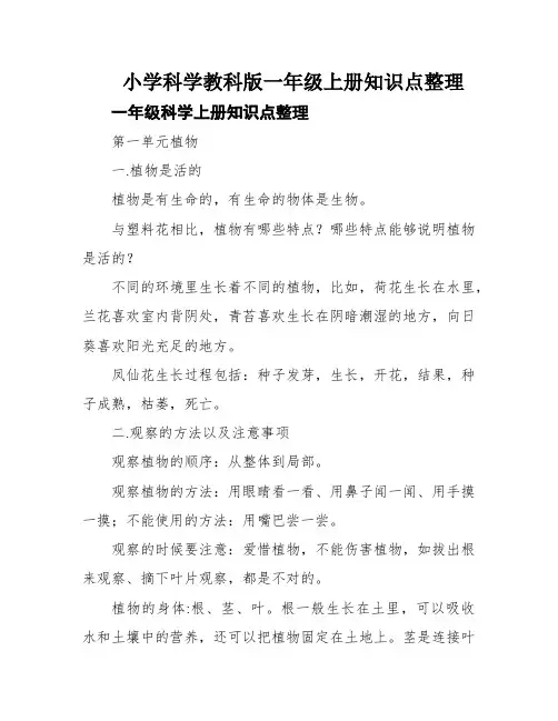 小学科学教科版一年级上册知识点整理