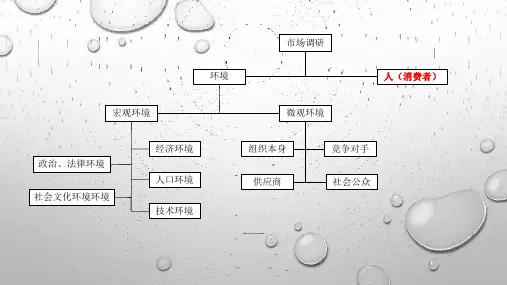社会体育《体育消费者心理与购买行为》课件