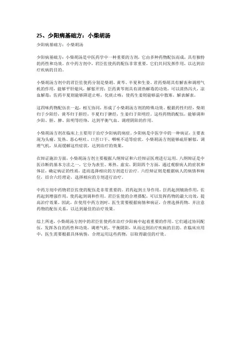 25、少阳病基础方：小柴胡汤